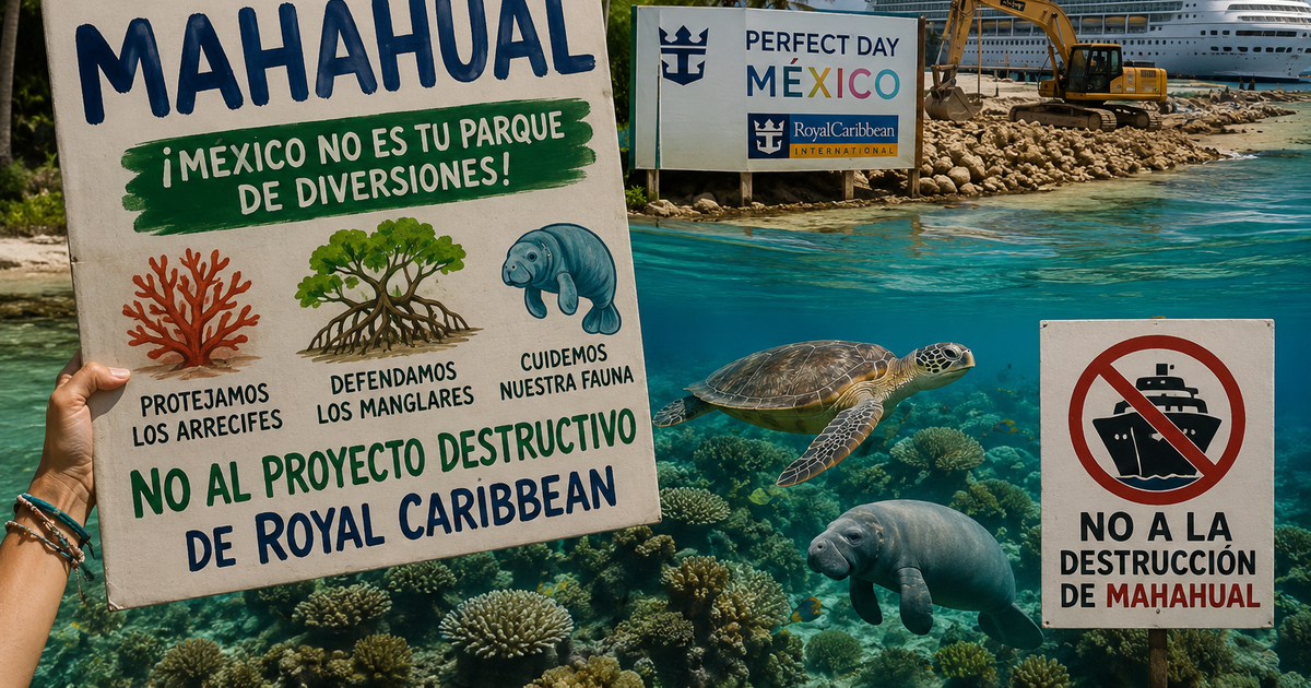 Protesta Mahahual Royal Caribbean