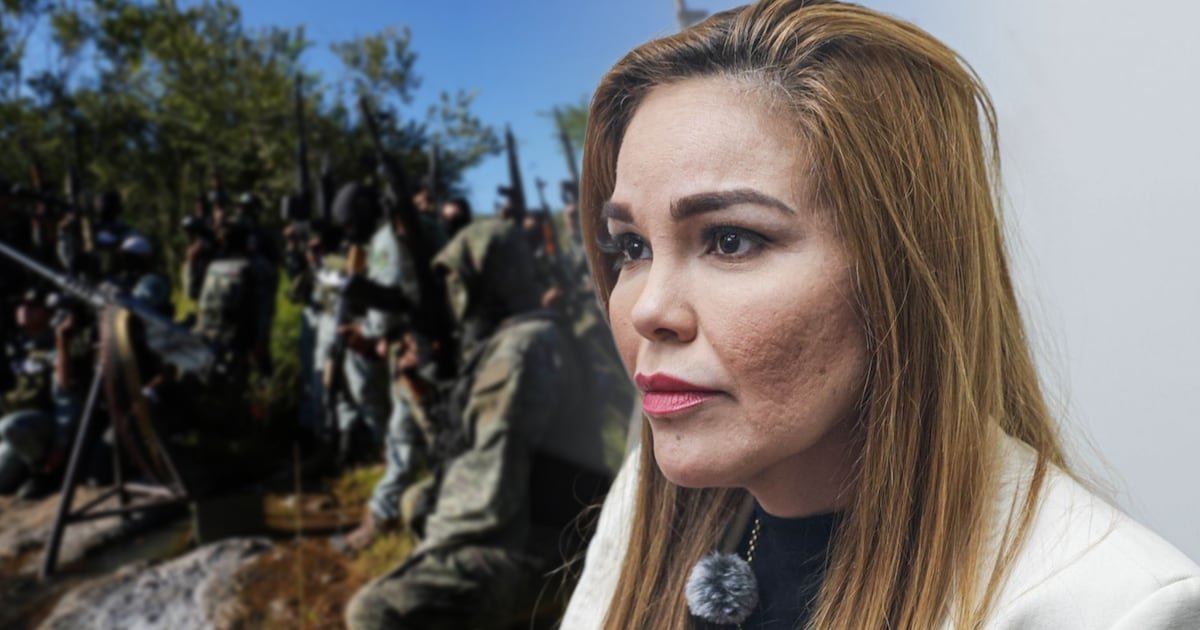 Diputada Paola Gárate Cártel de Sinaloa