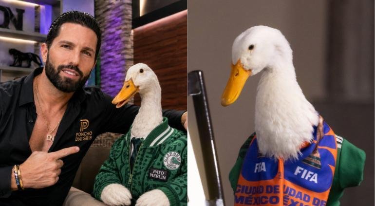 Poncho de Nigris Pato Merlín