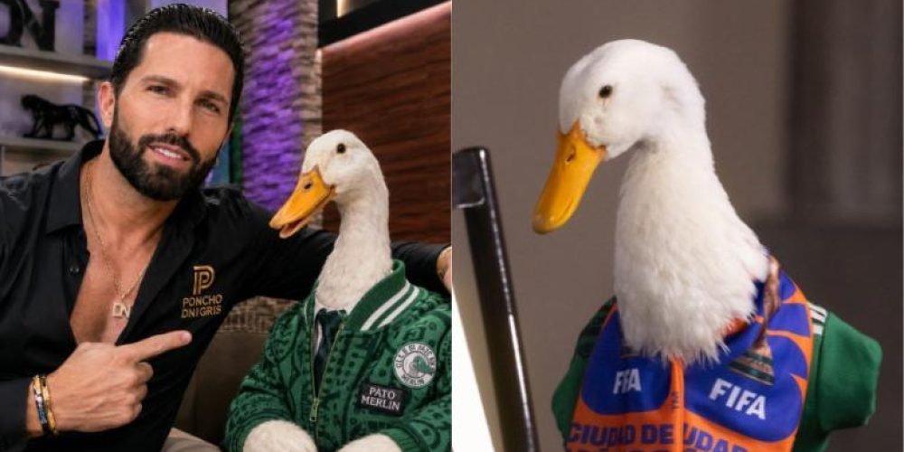 Poncho de Nigris Pato Merlín